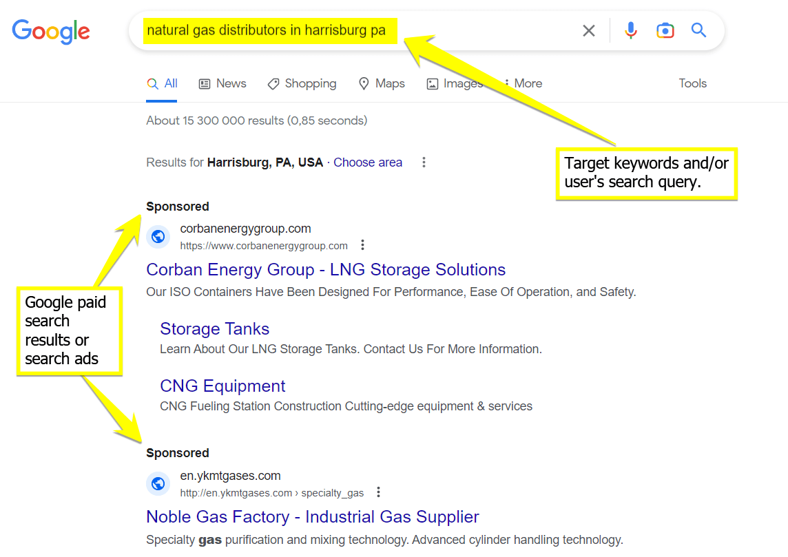 Google paid search results screenshot