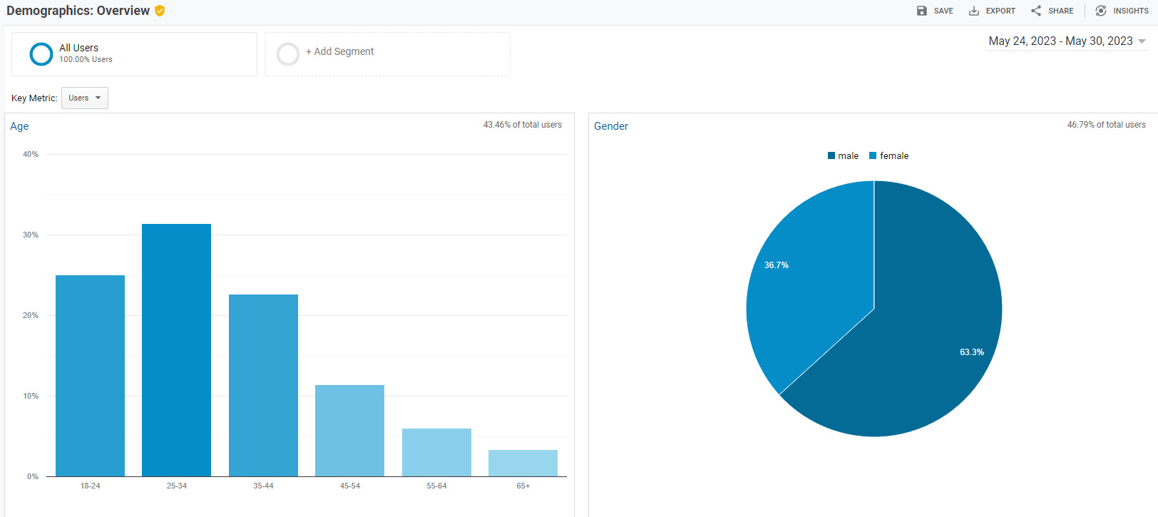 Google Analytics audience demographics