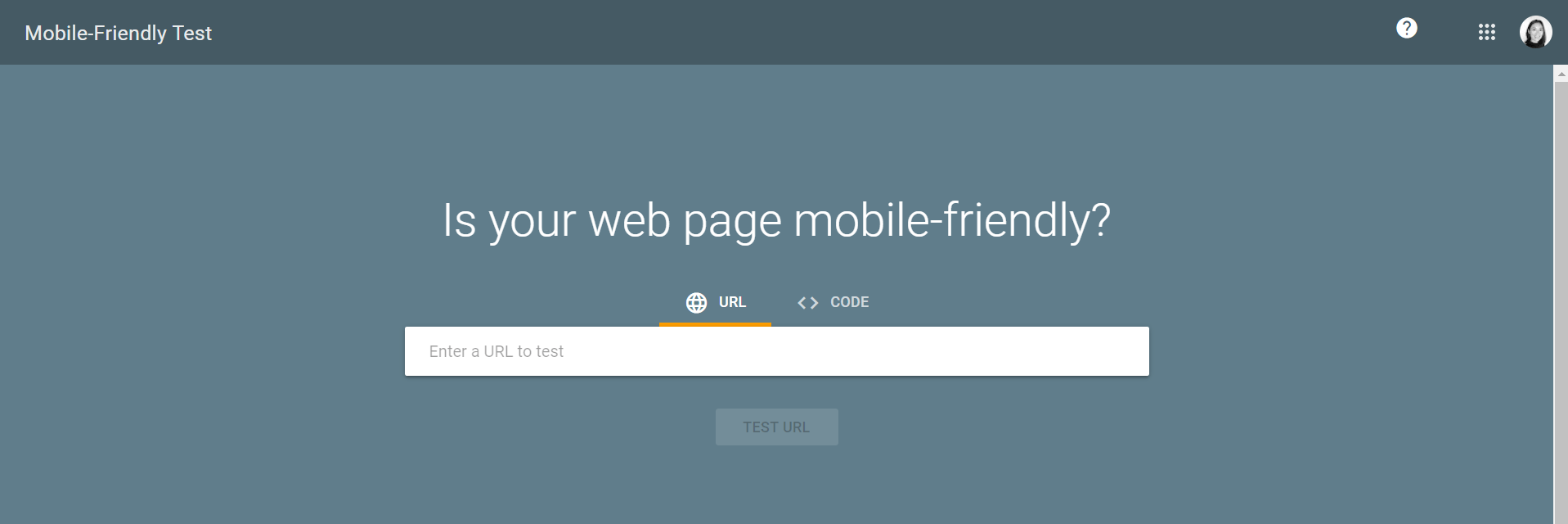 Google Mobile Friendly Test