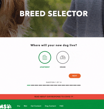 iams quiz as an interactive marketing example