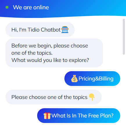 Tidio chatbot two way conversation screenshot