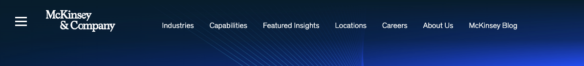 Navigation bar from a consultant website