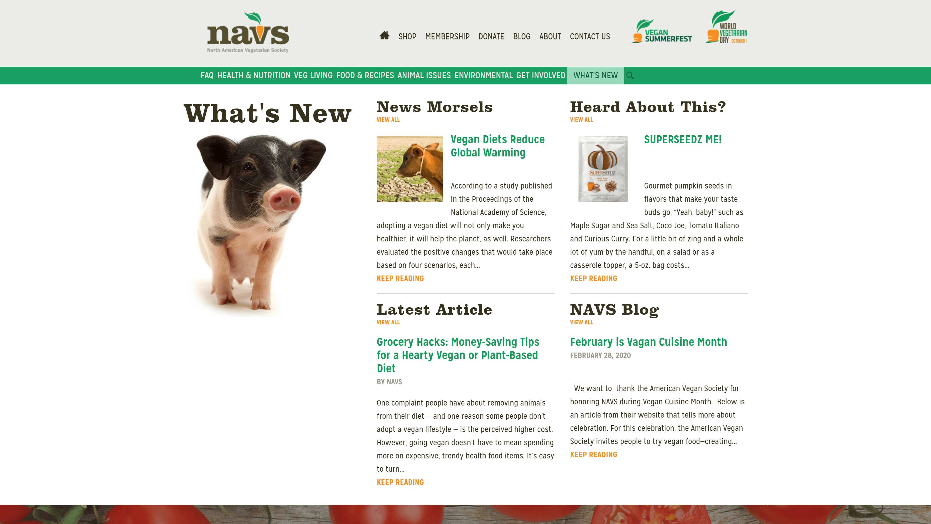 Screenshot of the North American Vegetarian Society website featuring a navigation bar, NAVS logo, and sections for news, articles, and promotions, including a photo of a piglet and various headlines about vegan diets and products.