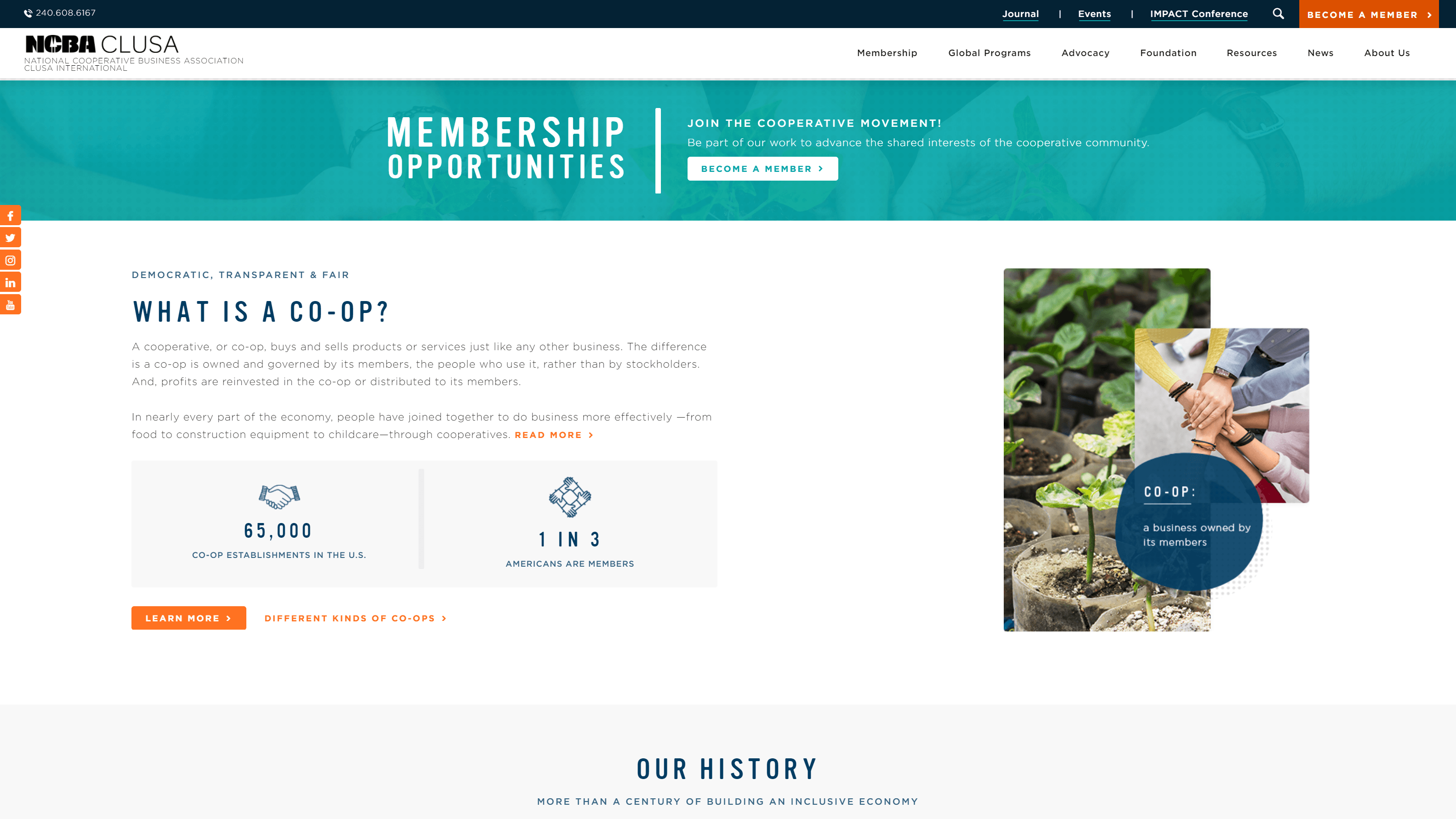 Screenshot of the National Cooperative Business Association CLUSA International website featuring a navigation bar, membership opportunities banner, and sections explaining what a co-op is with statistics and links to learn more. The page also includes images of green plants and hands coming together in a gesture of teamwork.