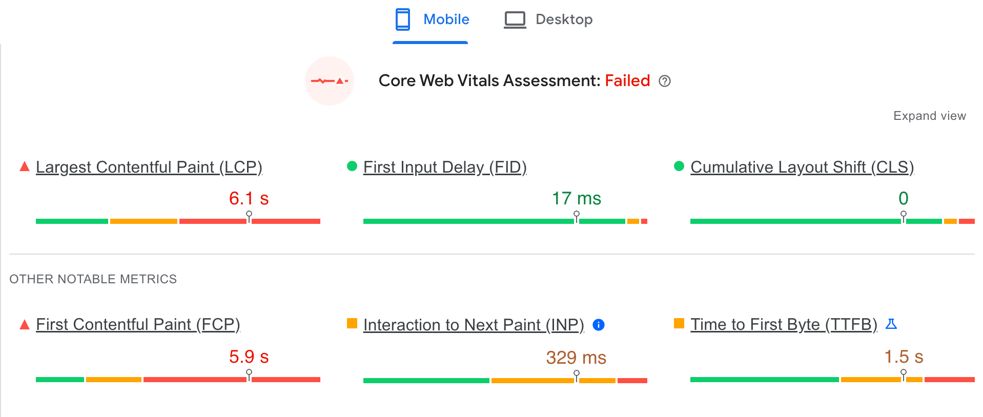 Google PageSpeed Insights showing data for a slow website