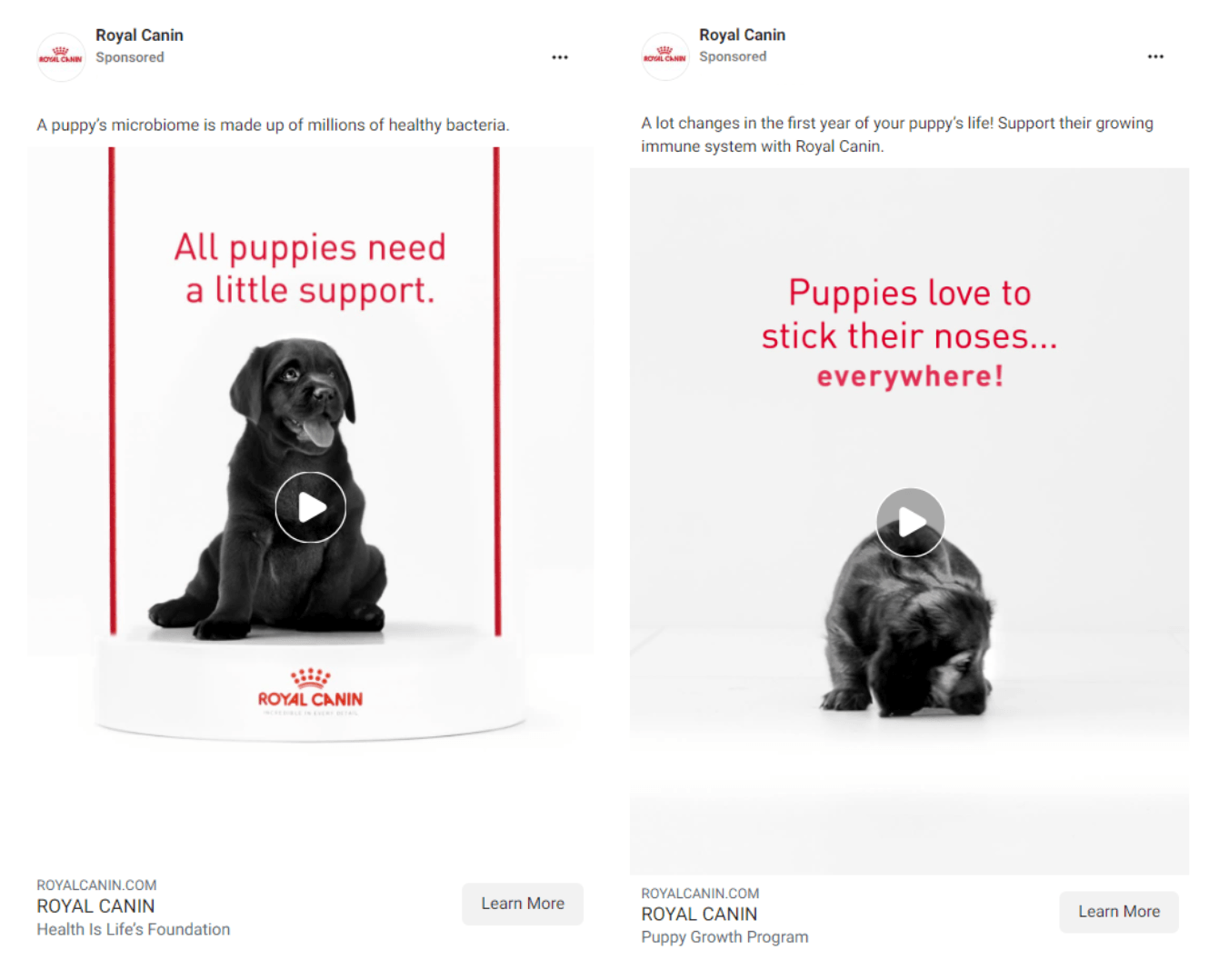 royal canin behavioral segmentation example