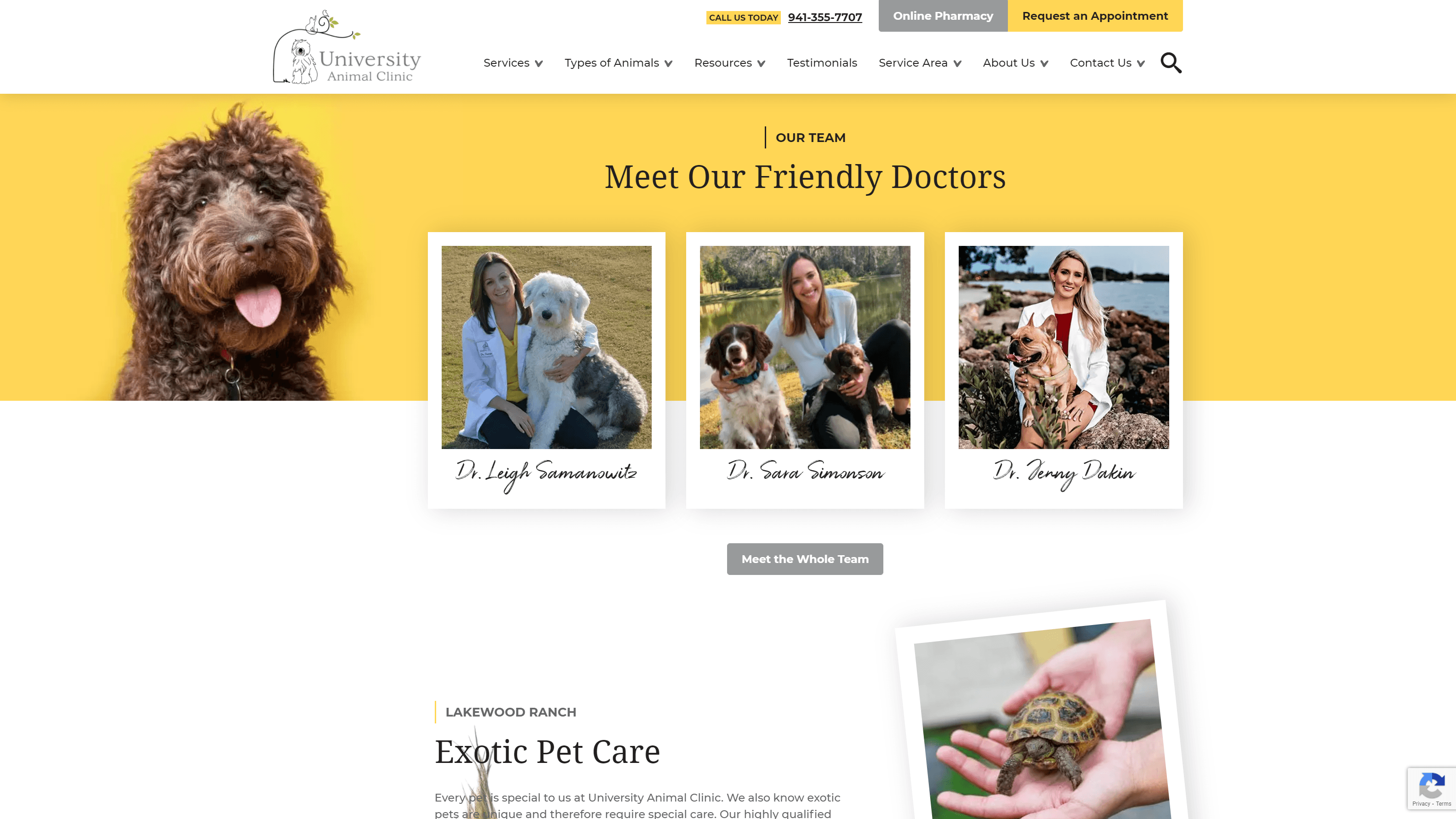 Website section from University Animal Clinic featuring a header with clinic information, a 'Meet Our Friendly Doctors' section with three female veterinarians each posing with a dog, a large photo of a brown dog, and a subsection titled 'Exotic Pet Care' with a photo of a hand holding a tortoise.