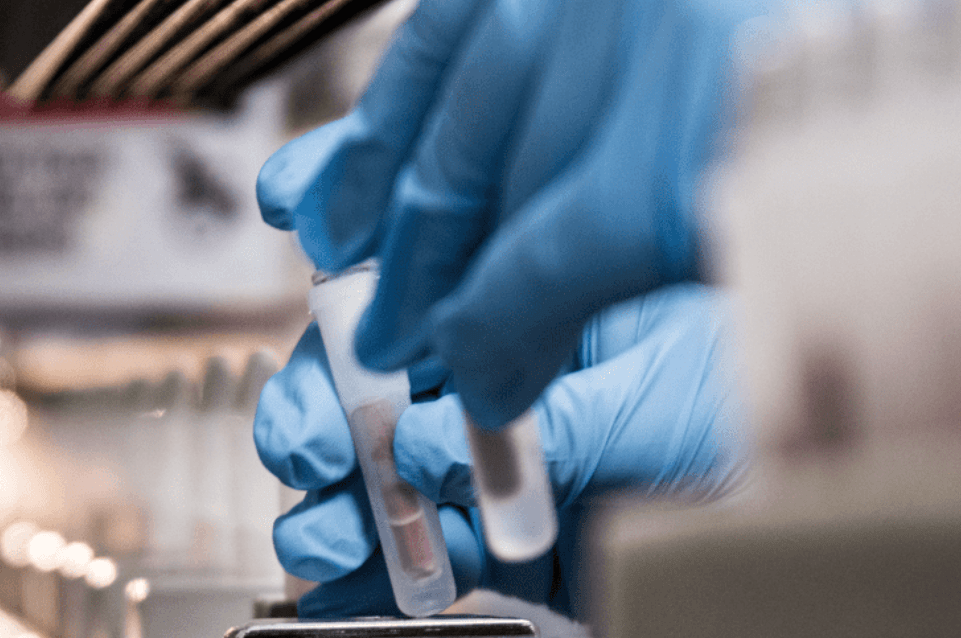 Close-up of gloved hands handling a test tube in a laboratory environment.