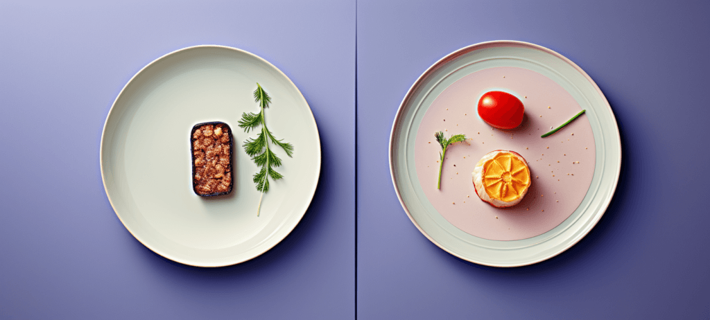 Two plates with minimalist food presentation on a dual-tone background. The left plate has a piece of grilled meat and dill, while the right plate has a grilled lemon slice, cherry tomato, dill, green chili, and spices.