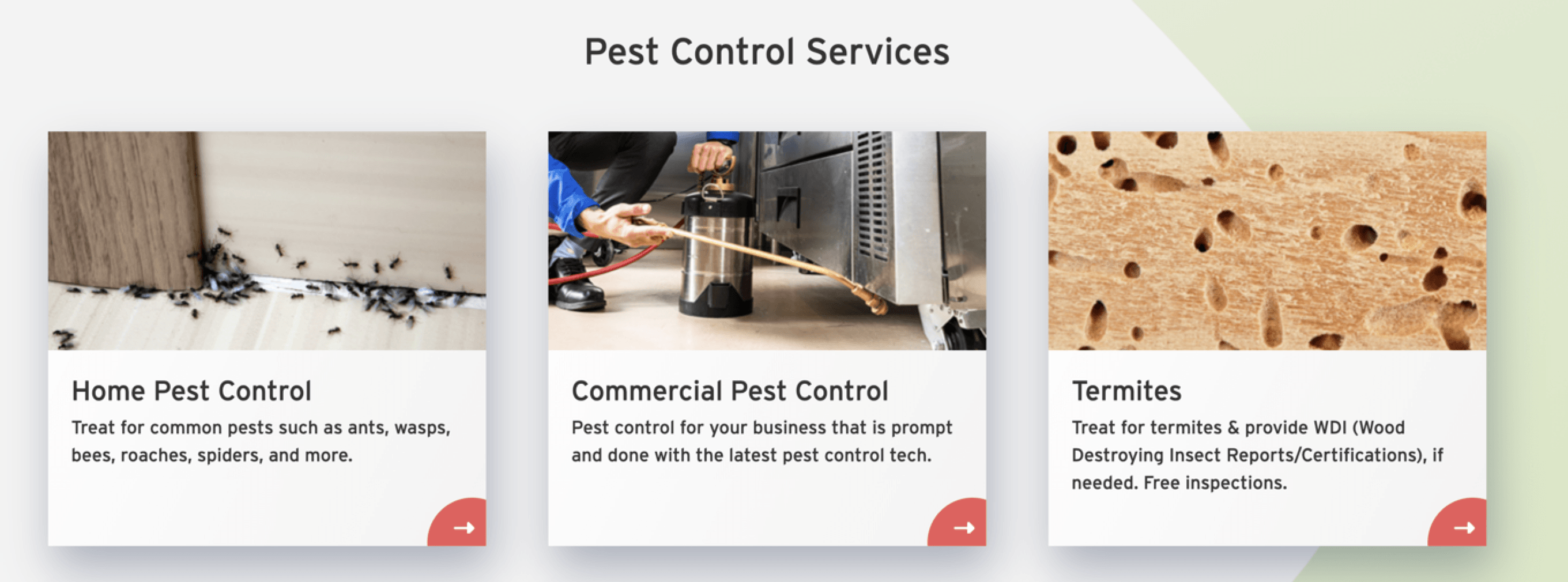 pest control photos