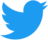 The Twitter logo, a stylized blue bird in profile.