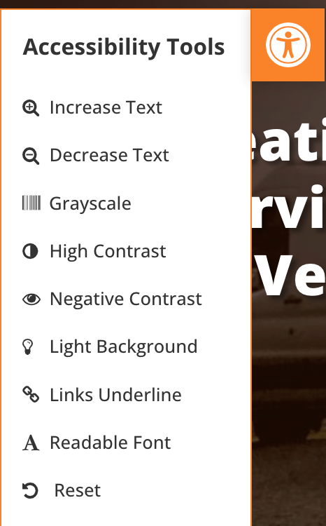 Accessibility options from Brock's website