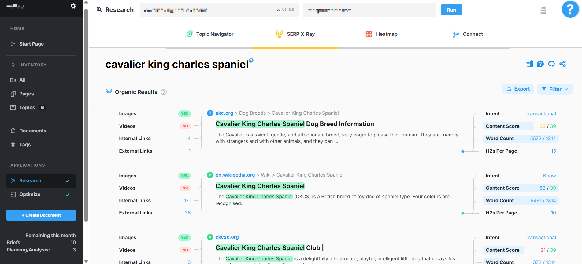 marketmuse ai seo tool