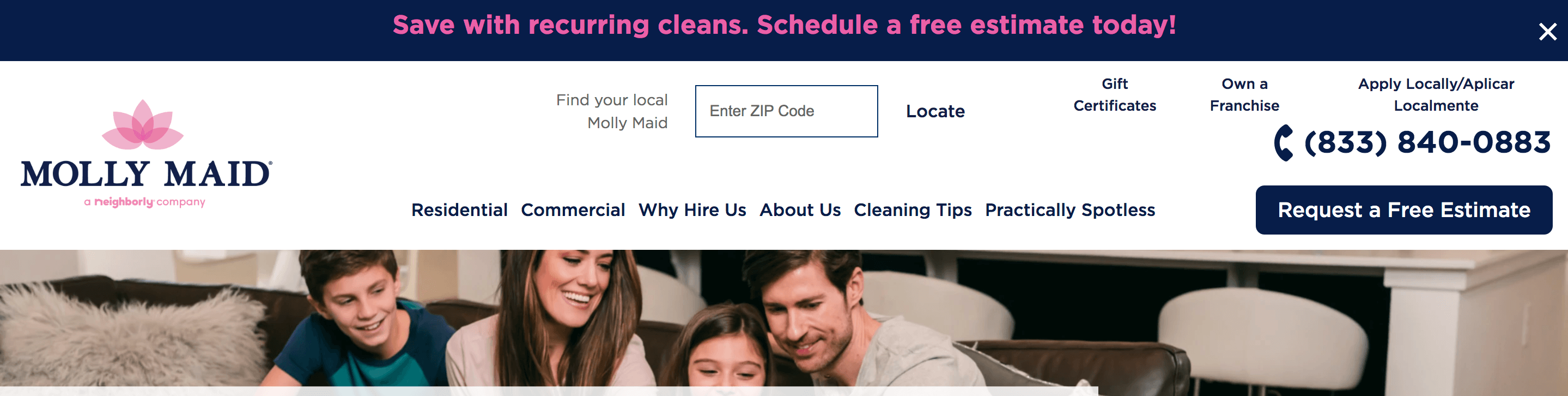 Homepage for Molly Maid's