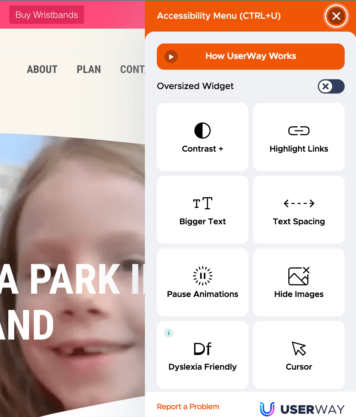 Accessibility menu bar on Luna Park's website