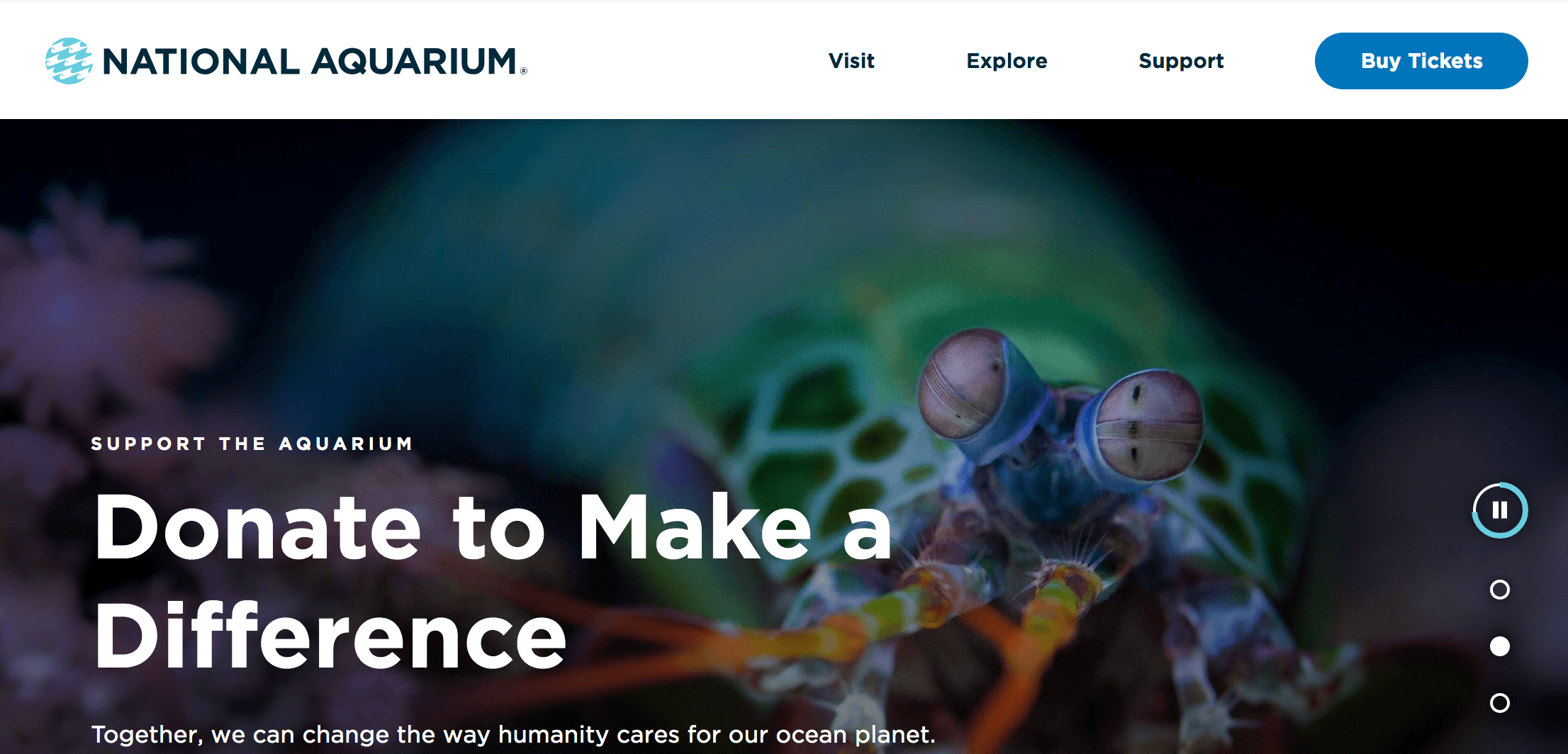 Homepage for the National Aquarium featuring fish