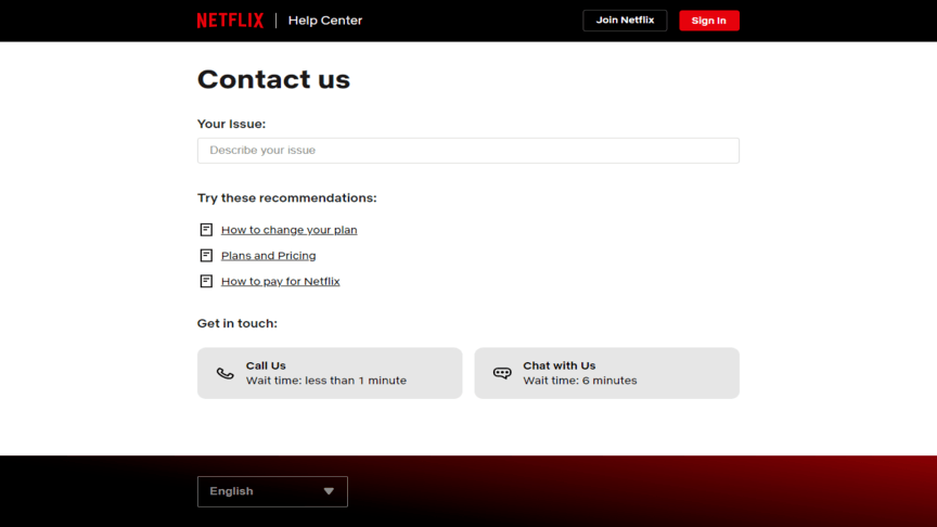 screenshot of one of the web form examples by netflix