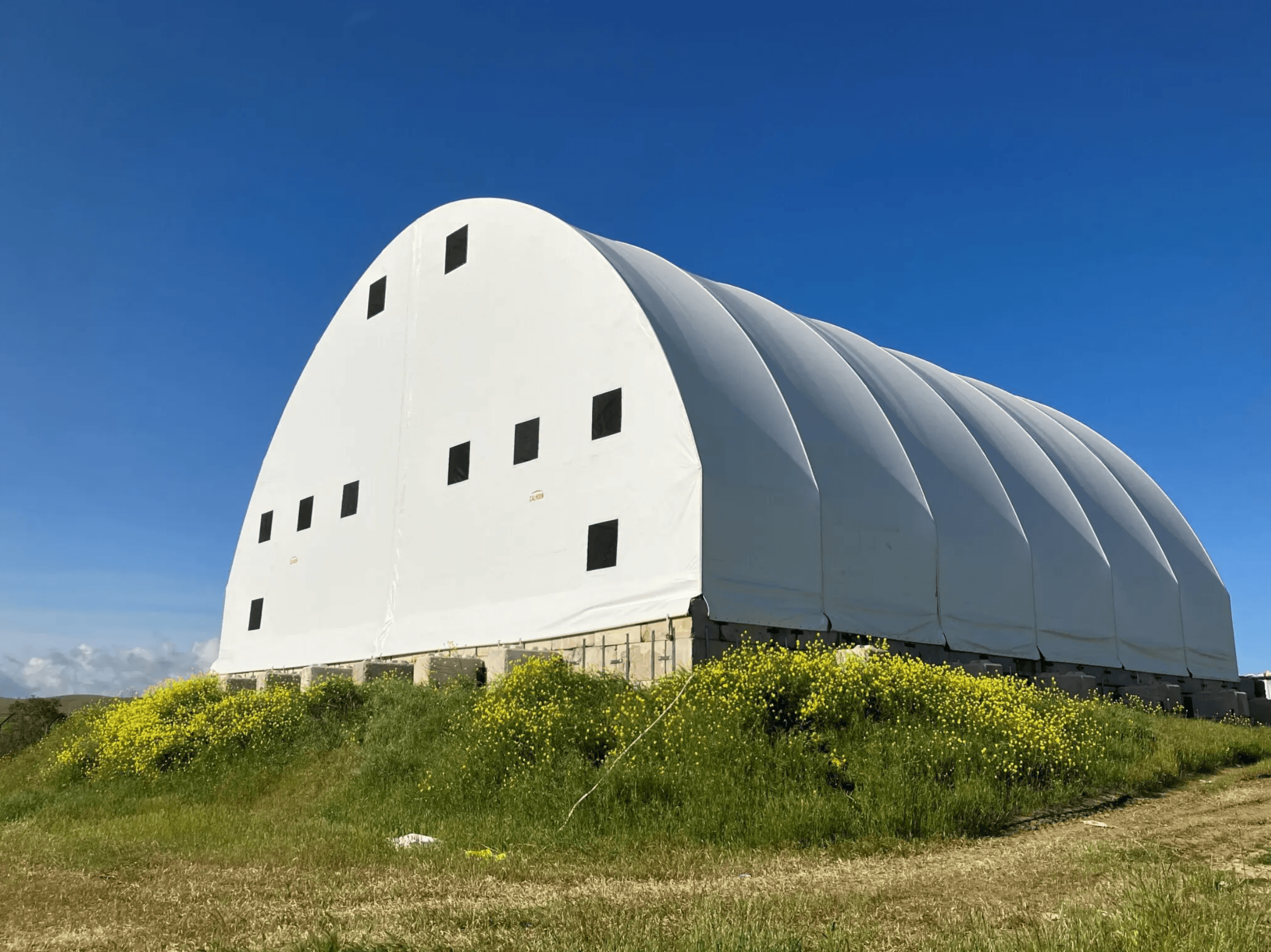 A large white dome-like building with a curved roof and square windows on a grassy hill with yellow wildflowers under a clear blue sky.