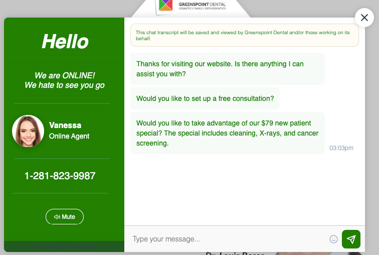 Chatbox on Greenspoint Dental's website inviting you to chat with them