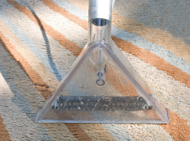 A carpet cleaning wand in use, extracting water from a striped carpet with visible sunlight and shadows.