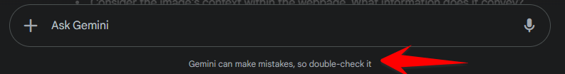 Google Gemini disclaimer