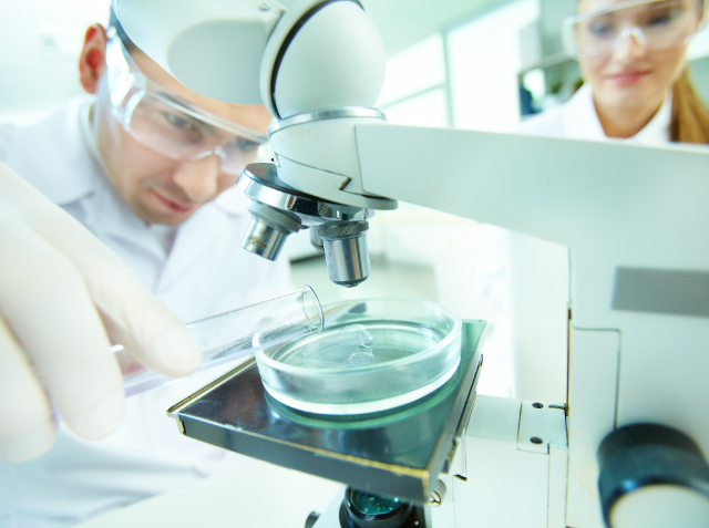 A male scientist with protective glasses and a headlamp examines a sample under a microscope while a female colleague observes in the background.