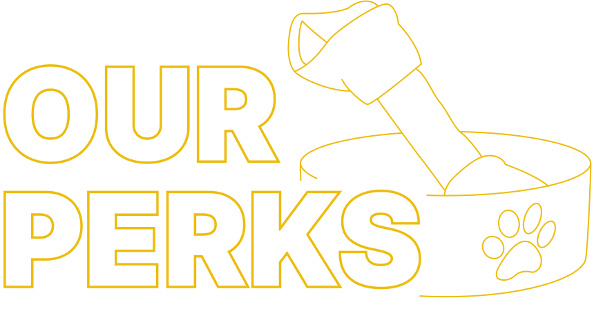 our perks