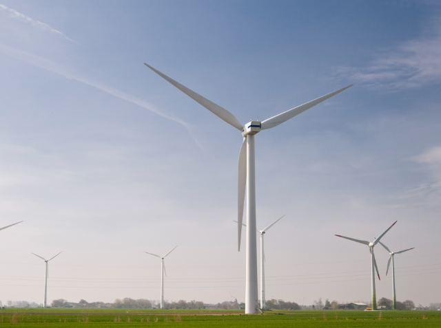 A group of white wind turbines with spinning blades in a flat green landscape under a clear blue sky.