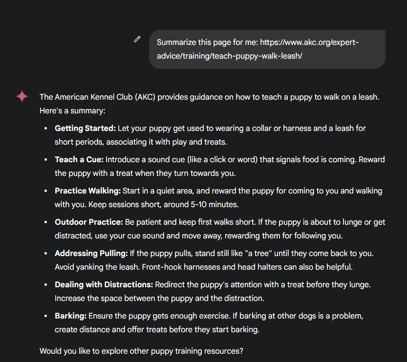 summary google gemini