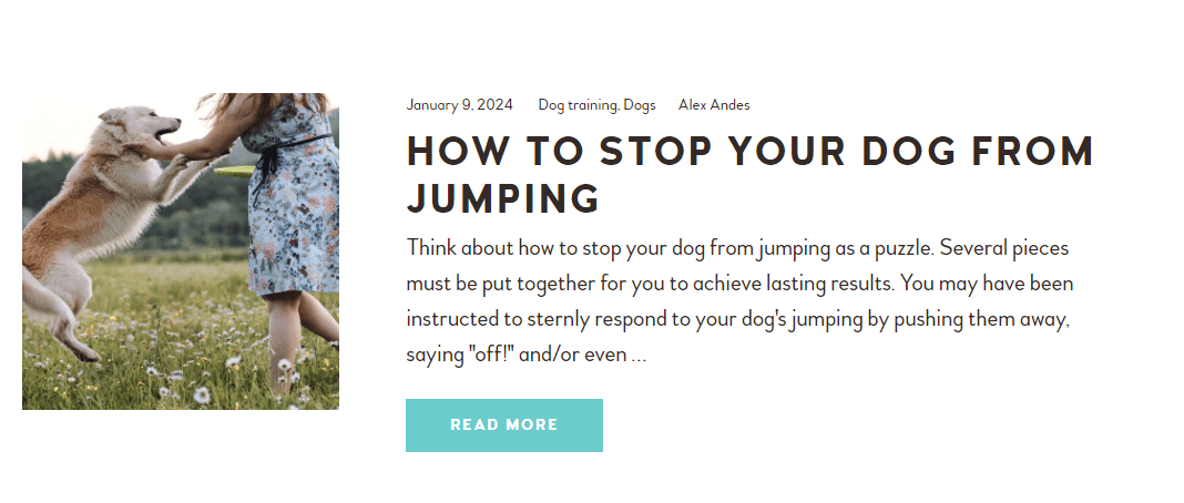 Blog post article on dog training