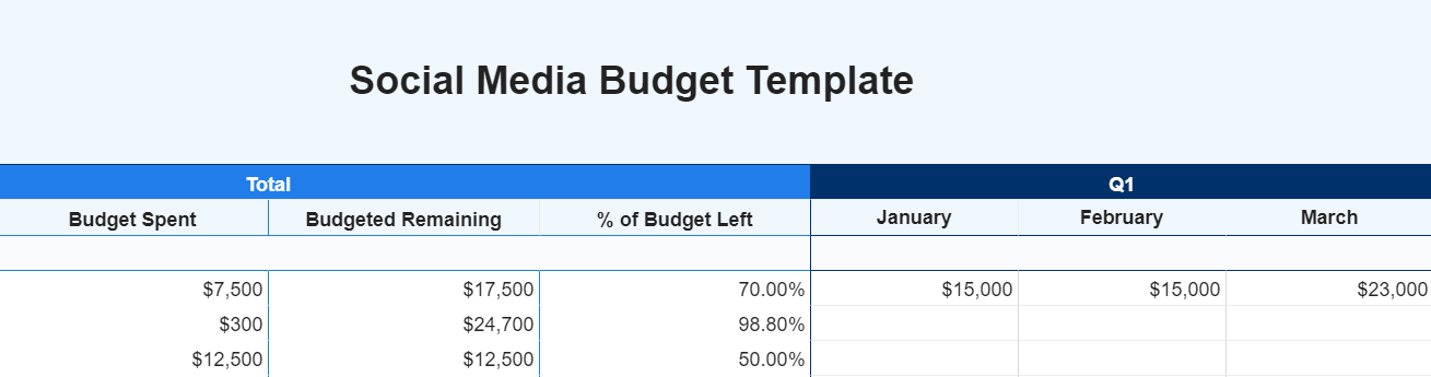 social media budget template preview