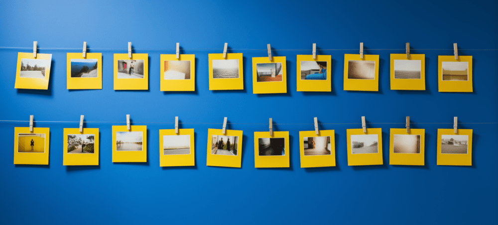 How to do an Image Search (Image Search Do’s and Don’ts)