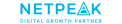 Netpeak logo