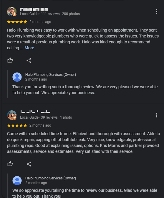 Local reviews for a plumbing business in Houston