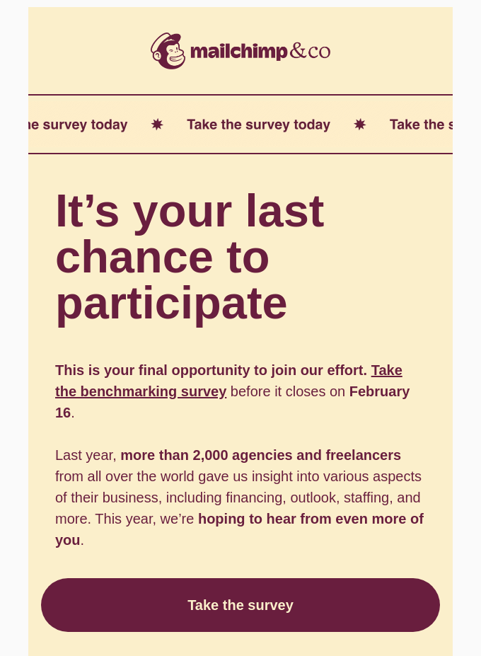 survey email mailchimp