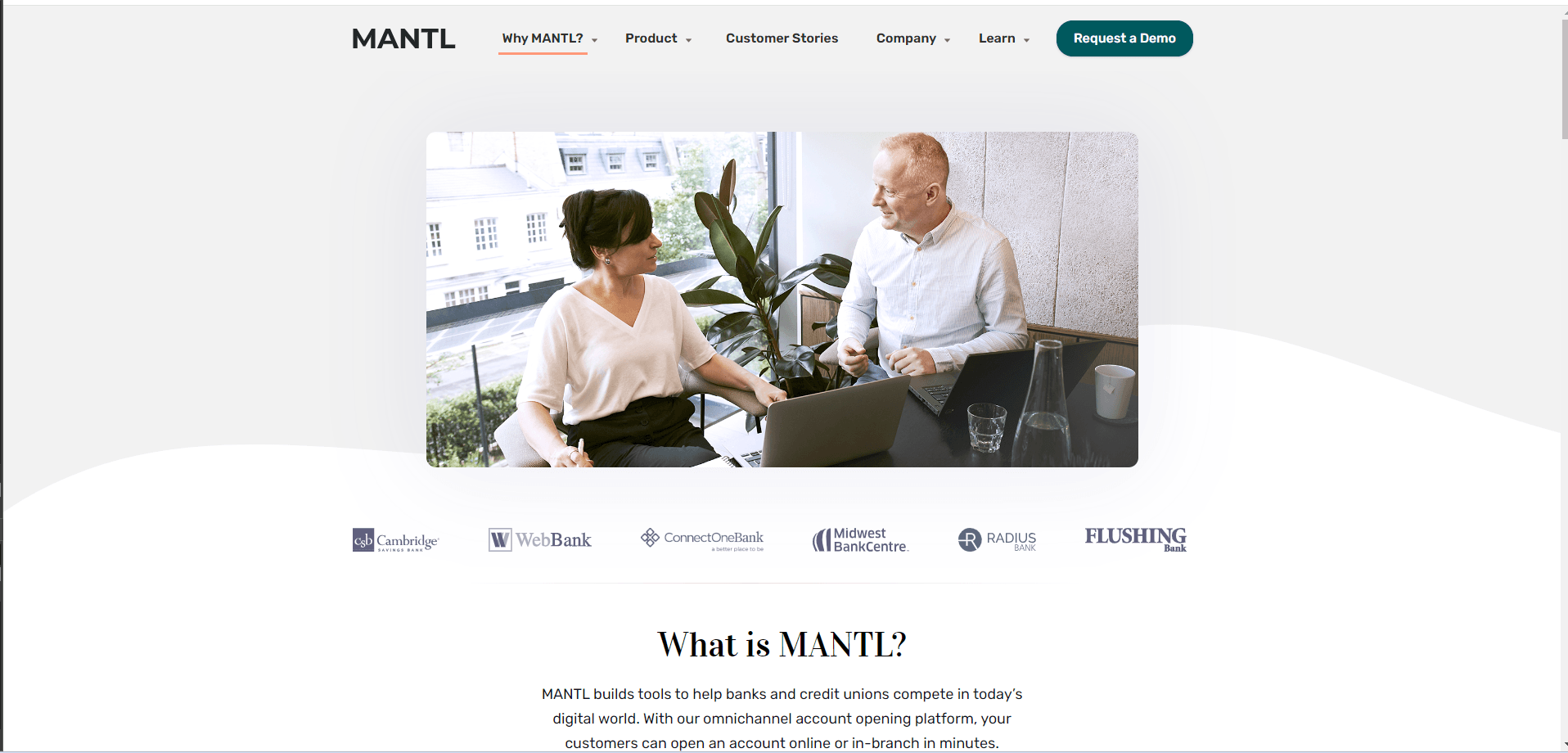Mantl web design fintech