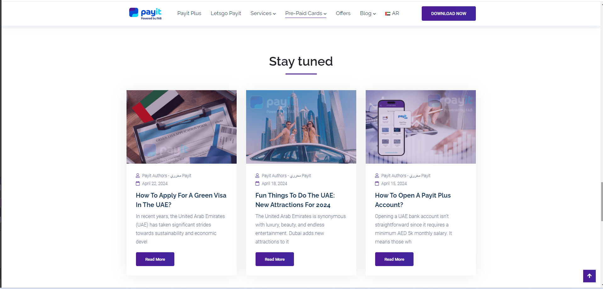 PayIt web design for fintech