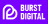 burst digital logo