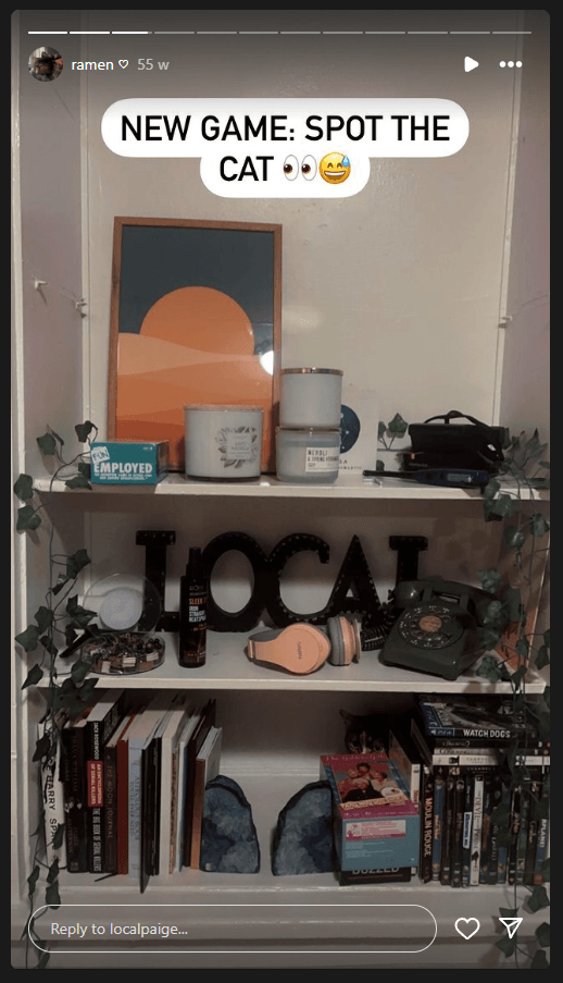 Instagram story find the cat