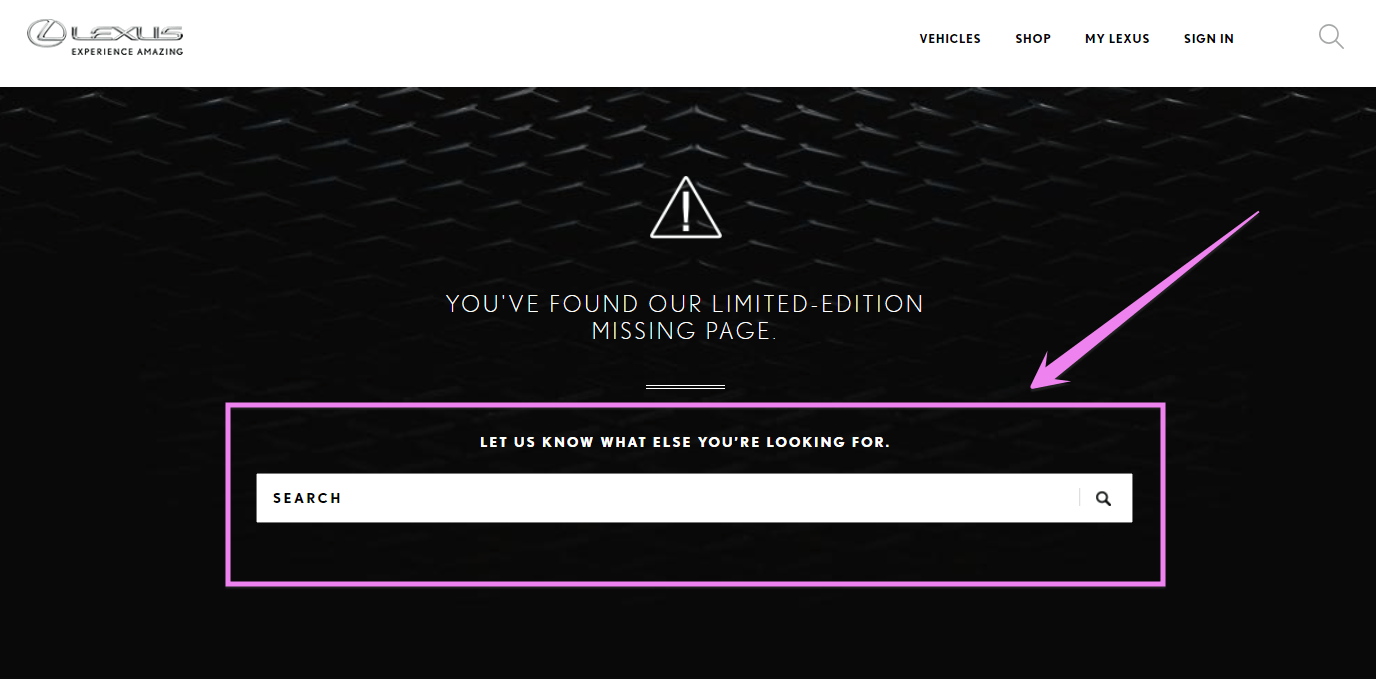 404 page example with search box
