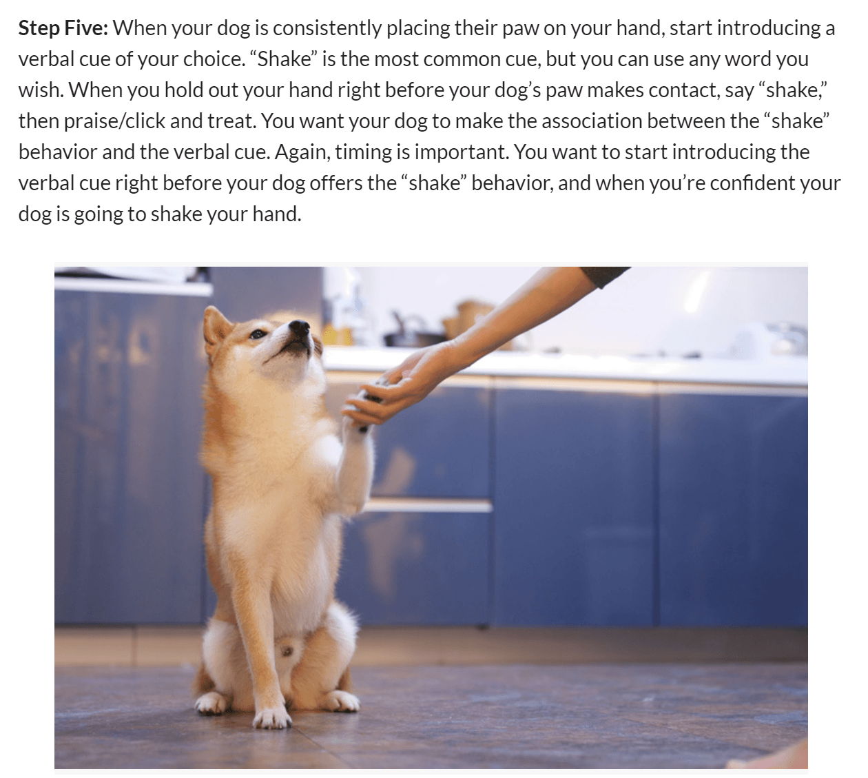 Blog post with an image of a dog in the text