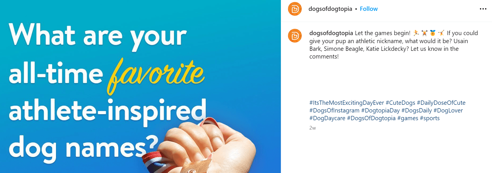 Dogtopia Instagram post about Olympic dog names