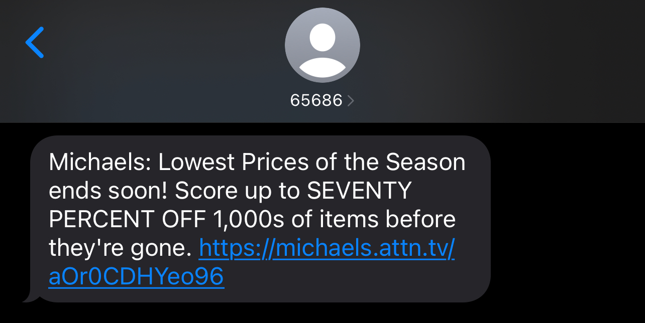 Promotional text from Michaels inviting the subscriber to shop their sale