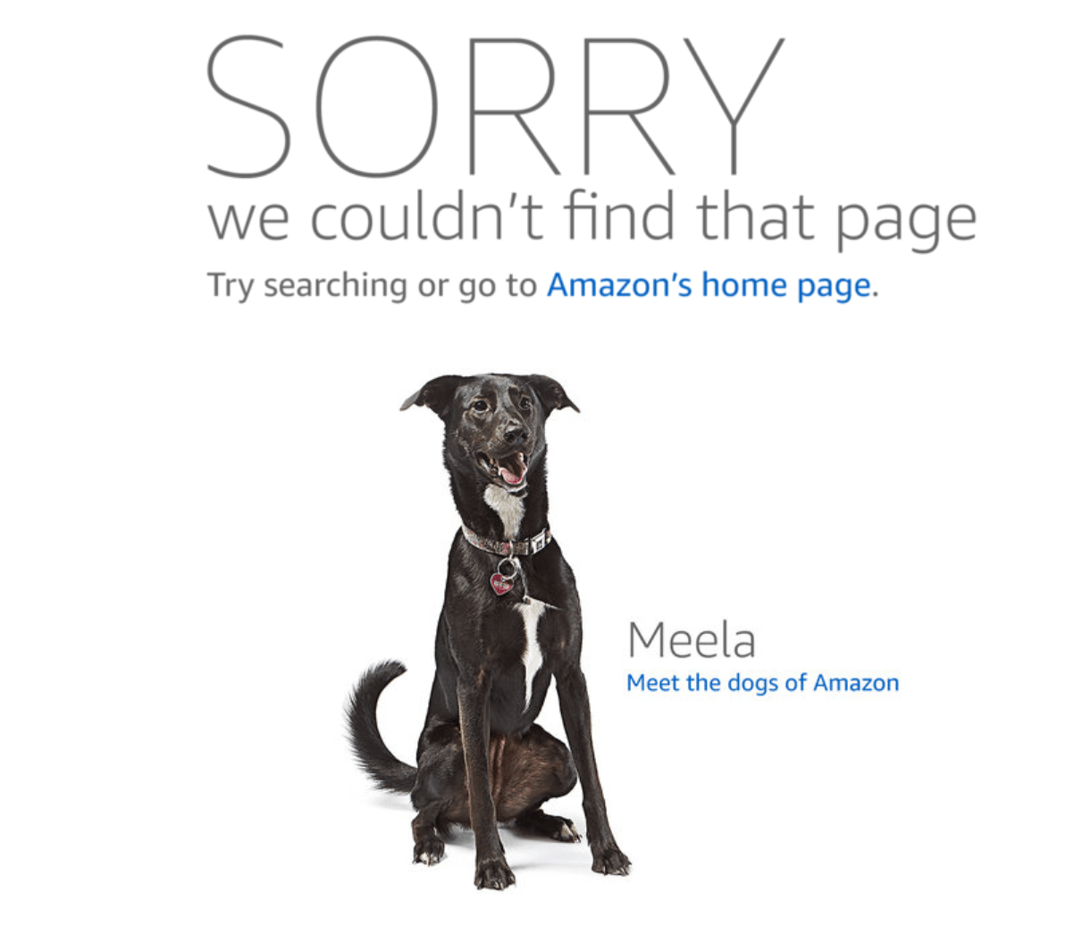 Screenshot of Amazon 404 error page