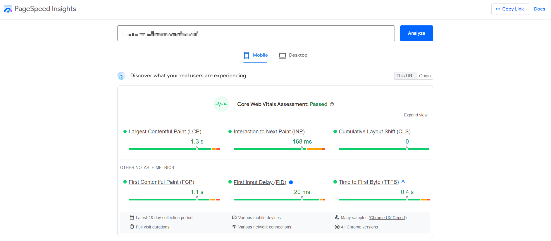pagespeed insights results
