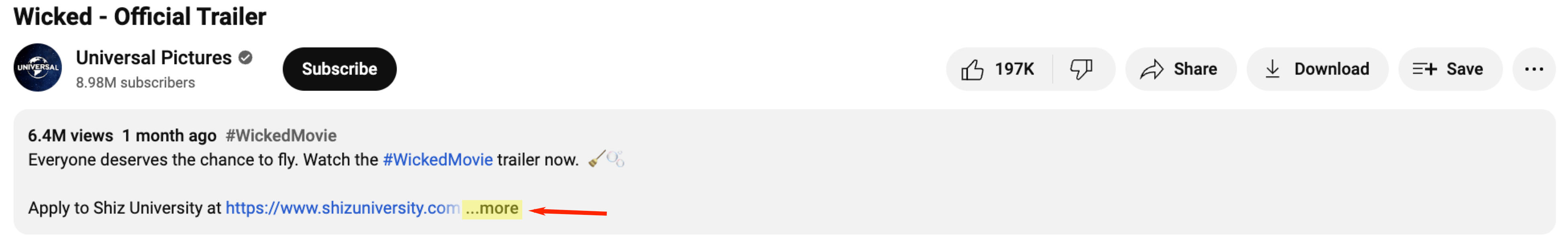 example of a hook in the beginning of a youtube video description