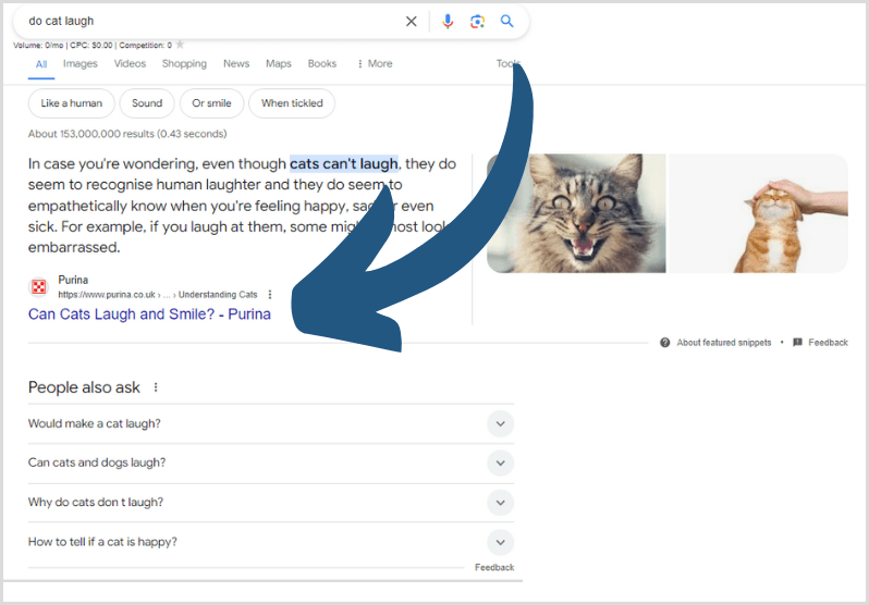 search engine results