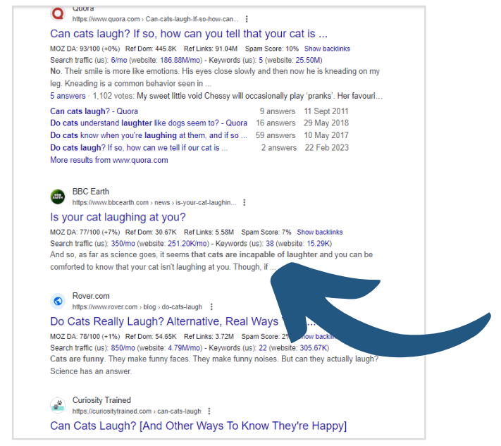 search engine results