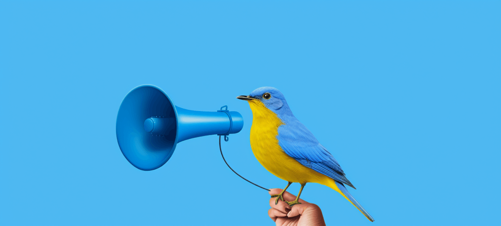 bird with megaphone; twitter/x ads for beginners