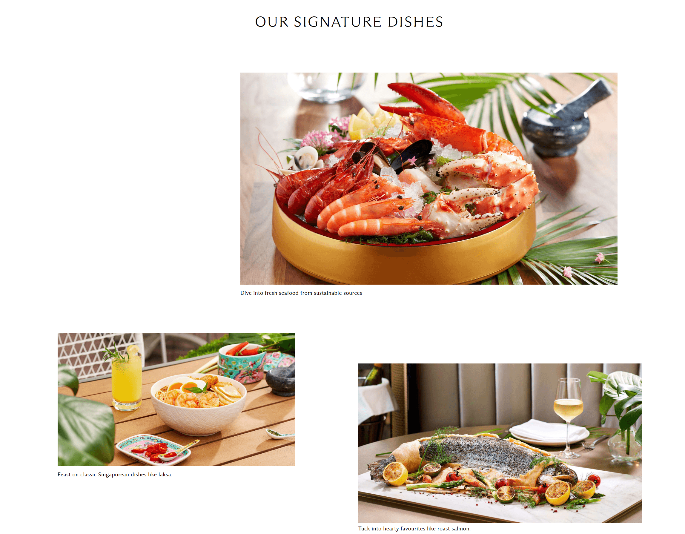 food website example